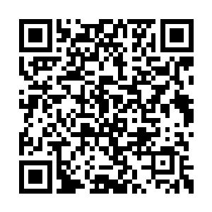 凝聚成一张巨大的手掌朝着下方的一座宫殿抓去二维码生成