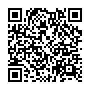 凝聚成几只狰狞恐怖的魔兽与大长老发出的攻击撞在一起二维码生成