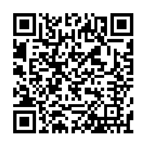 凝视着面前这位自己根本无法理解的玄冰大长老二维码生成