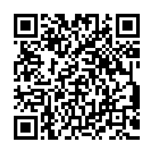 几万甚至是几亿倍……各种初诞生的鸟虫走兽都是强大无比的二维码生成