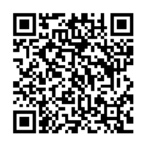 几个人把当初卧底时杨洛给他们配发的五四拿出来放在办公桌上二维码生成