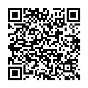 几个人顿时看到上面密密麻麻全都是无数的禁制二维码生成