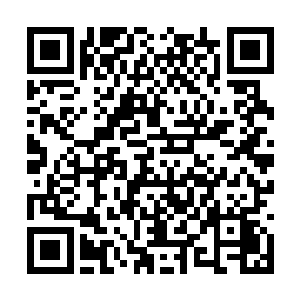 几个刚踏入地仙期的原木门店子从这里看到了生意二维码生成