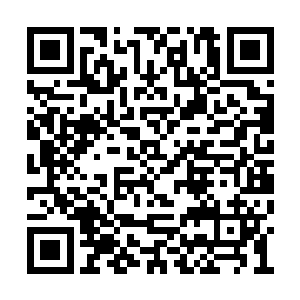 几个原来就跟在冯邦宁身边拍马溜须的锦衣官员二维码生成