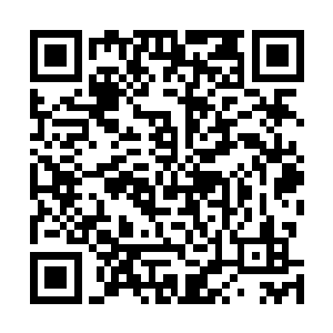 几个圣级域外天魔望着许紫烟等修士离去的背影目光闪动二维码生成