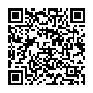 几个在廊前伺候的小内使将赵佶忙不迭的接了过来二维码生成