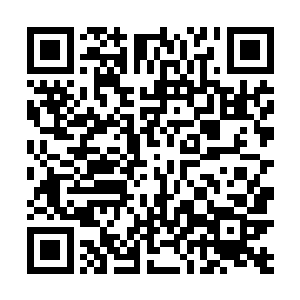 几个实力强大一点的圣族咬着牙再次对雷天发起了攻击二维码生成