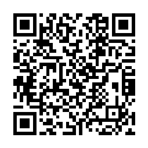 几个师兄师姐嘻嘻哈哈地端起酒杯也将杯中酒一饮而尽二维码生成