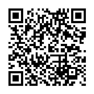 几个战术背包里也放好了分发下来的弹夹和手雷二维码生成