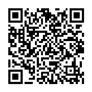 几个故事的钱都快赶上一次短途旅行的入团费了二维码生成