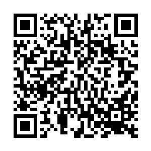 几个普通的居民惊恐地看着这些粗鲁野蛮的人闯入南瓜地二维码生成