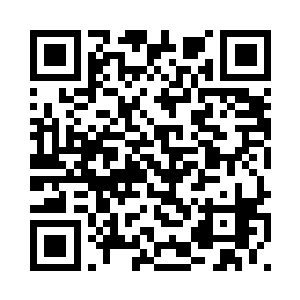 几个月前那次抓捕行动我也参与了二维码生成