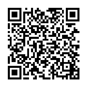 几个月的时间竟然完成了从一年级到五年级的华丽转变二维码生成