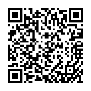 几个每个族长此时都在思考着如何与许紫烟相谈二维码生成