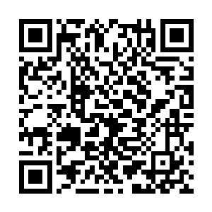 几个看起来并不是抬起眼的宝贝被陈列在了货架上二维码生成