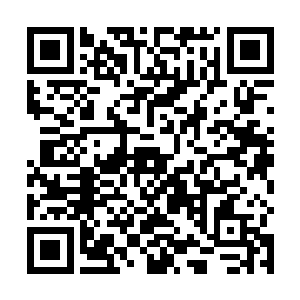 几个神奇的老教官形象就在骷髅帮的队伍里树立起来了二维码生成