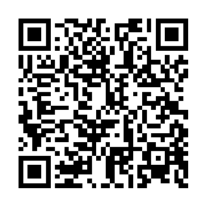 几个粉丝的语言能力似乎都有了不同程度的退化二维码生成