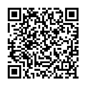 几个老头子看了看那边那几乎完美无瑕的唐菲菲二维码生成