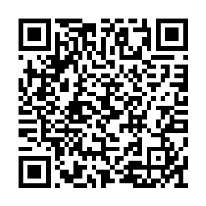 几个老祖宗的实力肯定能够取得突飞猛进的进展二维码生成