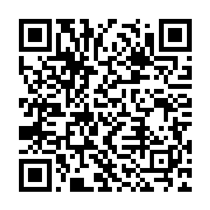 几个被马克洛夫斯基收买的武装警卫这时也杀到了二维码生成