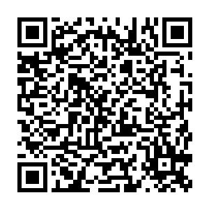 几个货的智商虽说都上升了不过还没有变态到加入人类思维体系中二维码生成