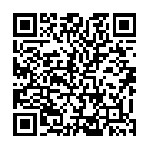 几个还没来得及掉落地面的天将被金箍棒直接挑飞了出去二维码生成