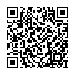 几个长老看到玲珑塔第三层的阵法符文亮了起来二维码生成