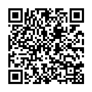 几乎一夜之间白天还在会议上或者公众面前人模人样二维码生成