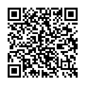 几乎一度让秦方以为自己的炼制方式也有问题了二维码生成