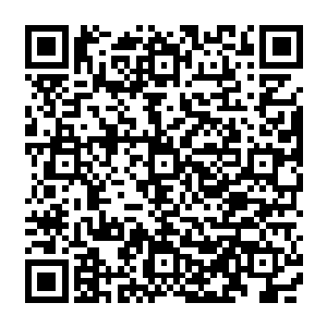 几乎一瞬间便将银色巨龙释放的银光镇压了下去的……这魔焰似乎天生就克制这银光似的二维码生成