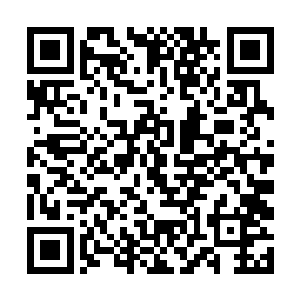 几乎一瞬间就要把那些维持着秩序的李强等人给挤跨二维码生成