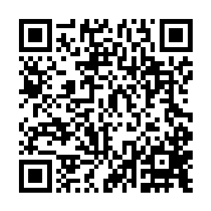 几乎与那佛母孔宣和金翅大鹏鸟不相上下的恐怖气息二维码生成