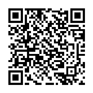 几乎二十来米直径的巨大脑袋高高昂起在水面之上二维码生成