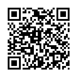 几乎人类之中所有达到了皇级以上的强者二维码生成