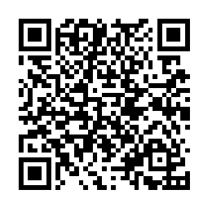 几乎今天所有人都发现年轻藩王虽然依旧平易近人二维码生成