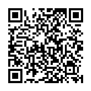 几乎全数的总公司大小员工都会离开半个月到一个月的时间二维码生成