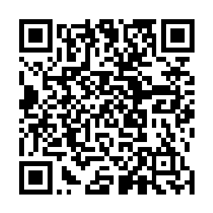 几乎全部都是这个圈子里最有音乐才华和最聪明的一拨人二维码生成