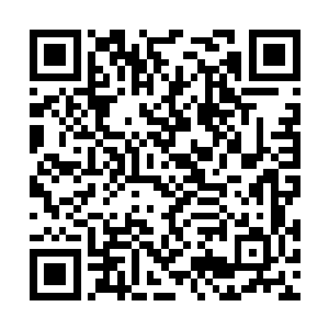 几乎全都是拼尽了全力了……甚至在一场比武之中二维码生成