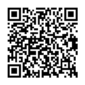 几乎到天黑的时候才到达了墨西哥城的国际机场二维码生成