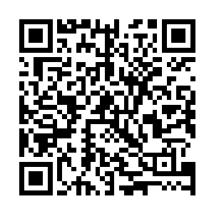 几乎半个香港都知道河东花园以44亿8000万元的成交价易主了二维码生成