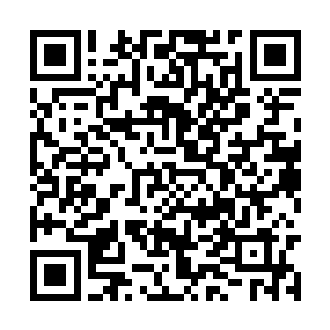 几乎厚厚的一本圣经只剩下最后后的几页没有看完二维码生成