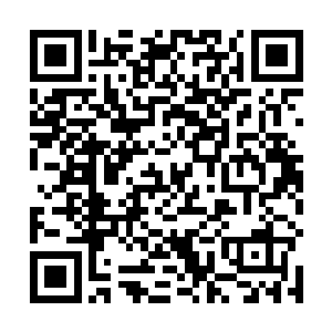 几乎只是一个眨眼的时间便层层叠叠的护在了哪吒面前二维码生成