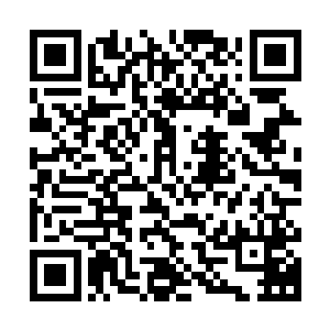 几乎可以媲美当初在东京副本的那个地下研究所的仓库那么大了二维码生成