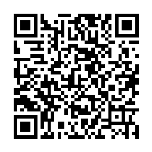 几乎可以看到熊熊怒火宛若有实质般在他身周缭绕二维码生成
