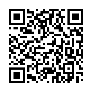 几乎可以说是这个世界上最优秀的血统二维码生成