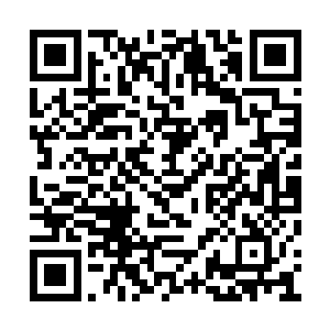 几乎可以跟前世的时候闭关一次的效果相媲美了二维码生成