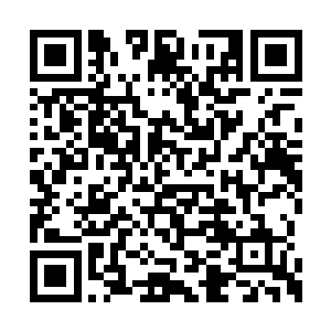 几乎可是占据了洪荒法宝榜上一半以上的数量啊二维码生成