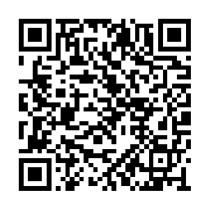 几乎噩梦峡谷中所有的参赛者都听到了这个喊声二维码生成