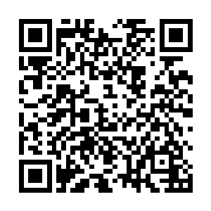 几乎在一瞬间便将楚旬的外骨骼装甲给击出了无数裂纹二维码生成