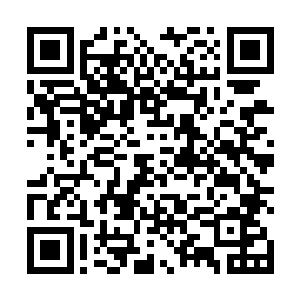 几乎在一瞬间龙傲天的周围就布满了无数道恐怖的剑气二维码生成